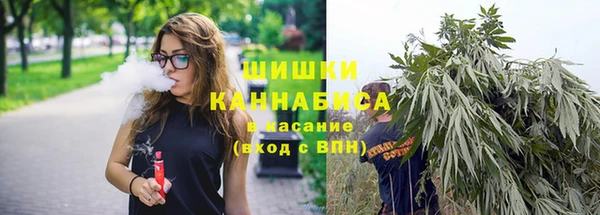 спиды Арсеньев