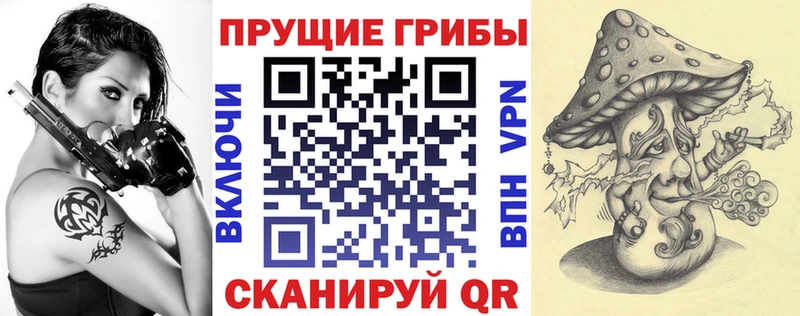 Галлюциногенные грибы Psilocybe  площадка наркотические препараты  Дальнегорск 